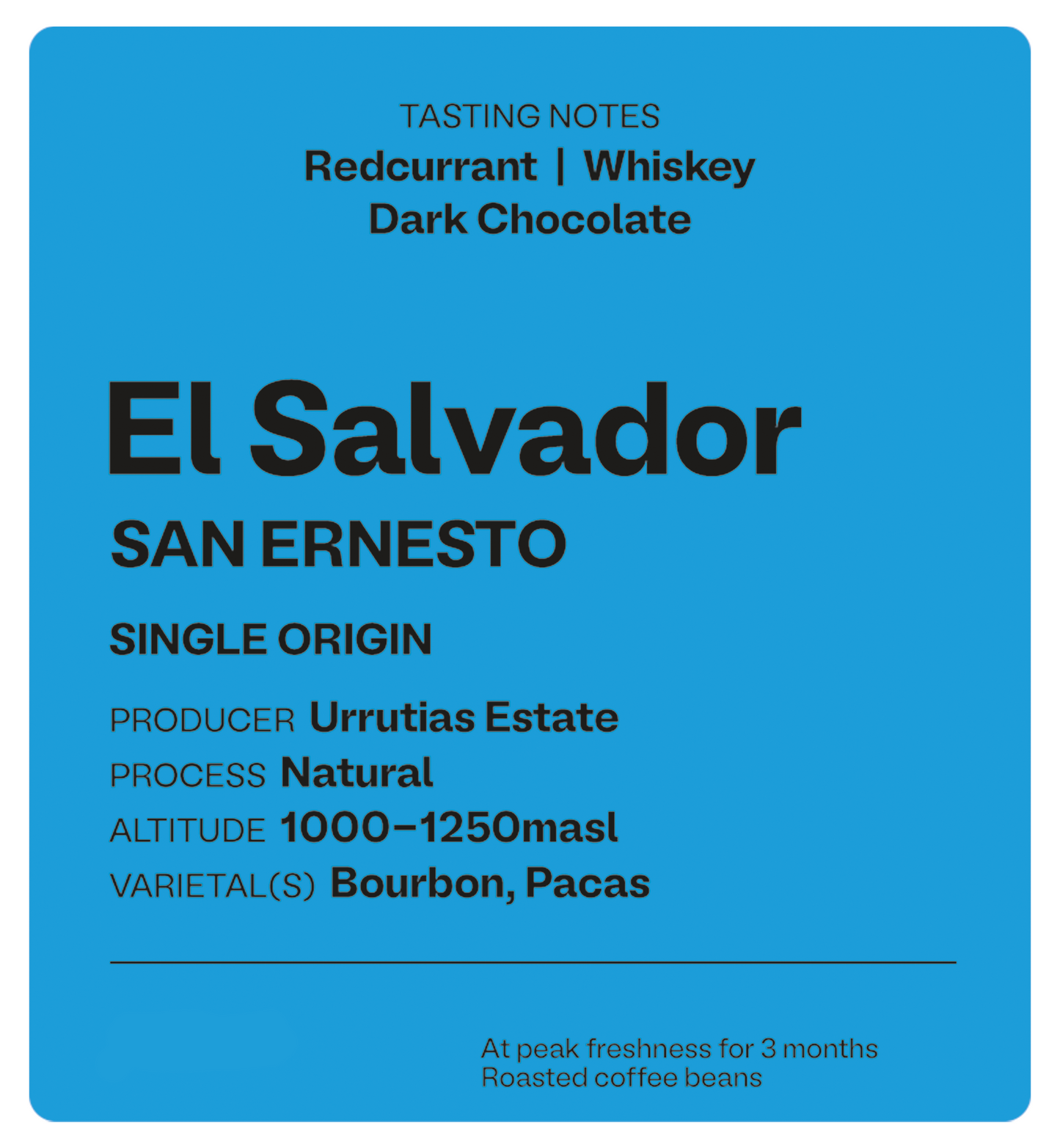 El Salvador San Ernesto